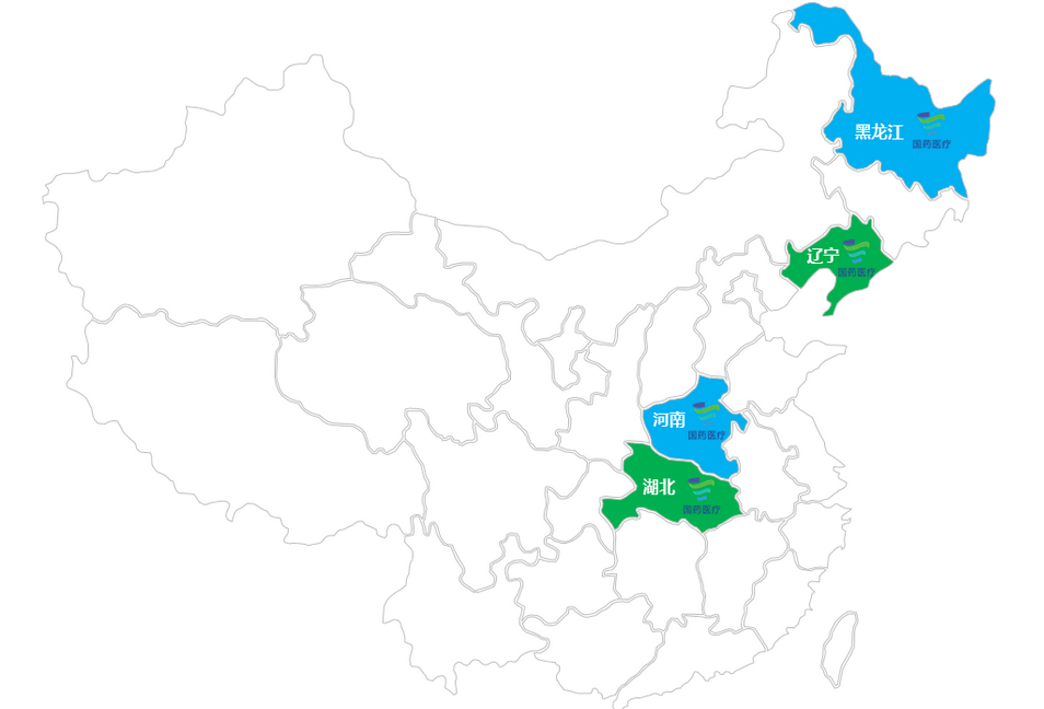 醫(yī)療服務納入戰(zhàn)略規(guī)劃